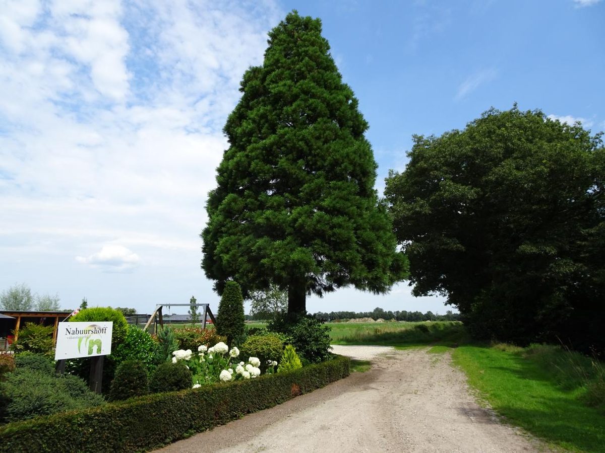 De veldweg langs het erf van Nabuurshoff